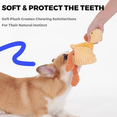 VIFINE dog toy crocodile with squeaker for durable fetch sessions.