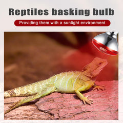 VIHOSE heat lamp in poultry enclosure warming chicks comfortably