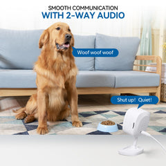 Viigytek 2K camera offers two-way audio for easy pet communication.