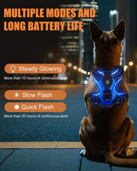 Villabliss LED harness front light attachment for high night visibility.