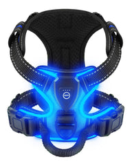 Villabliss light-up dog harness worn by a blue XL dog for nighttime visibility