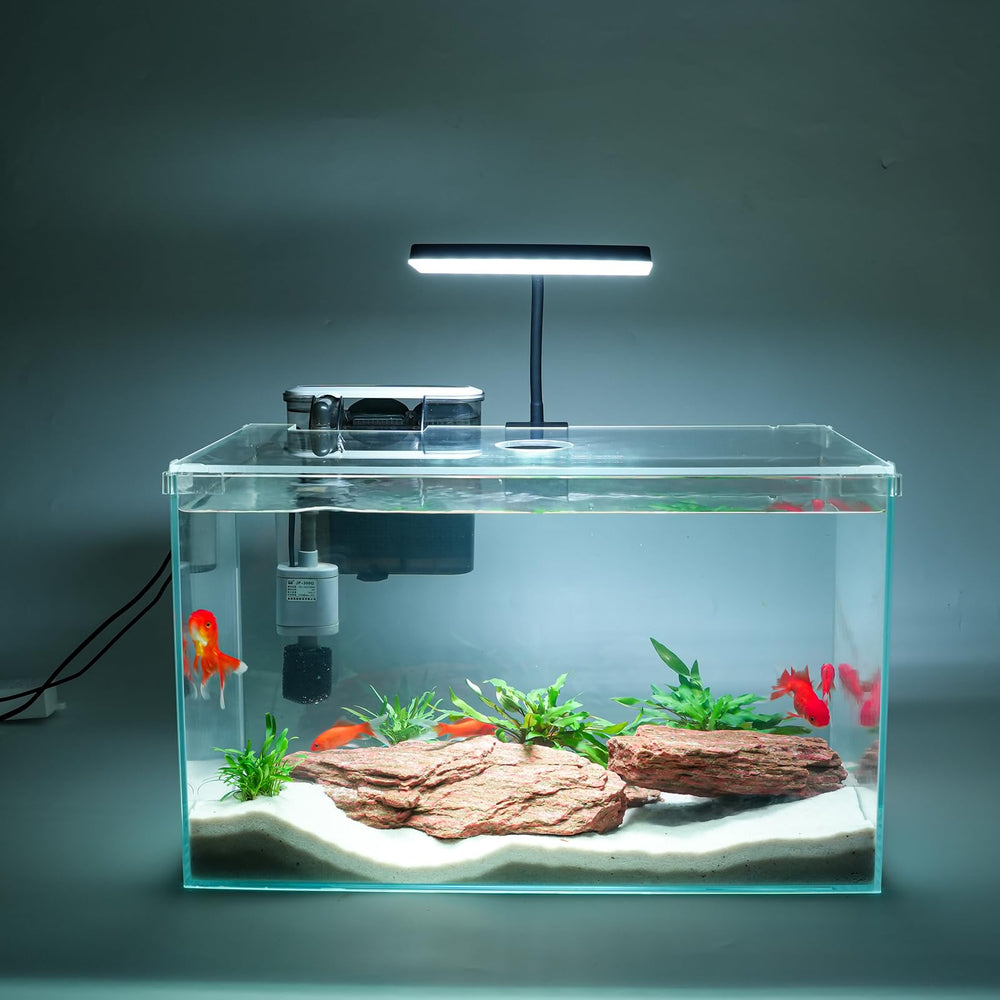 Vimvins 10-gallon glass tank with filter offers a clear beginner-friendly viewing centerpiece.