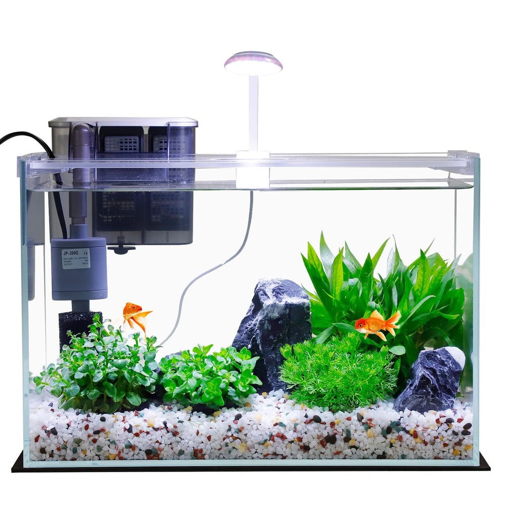 Vimvins 5-gallon glass tank with lid offers compact betta setup and tidy aesthetics.