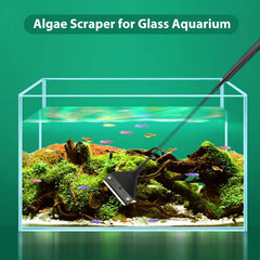 Vimvins algae scraper wide handle improves grip during cleaning sessions