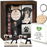 Vinatimes pet memorial shadow box showcases memories on display shelf or wall.