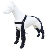 Vingtank dog suspender boots anti-lost design keeps four leggings secure during walks.