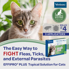 Virbac Effipro Plus waterproof application on cat fur.