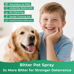 Virmate No Chew Spray training scene with owner guiding behavior.