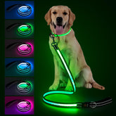 Visinite 4ft LED dog leash with multiple lighting modes for safer night walks