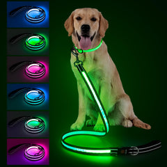 Visinite 4ft LED dog leash with multiple lighting modes for safer night walks