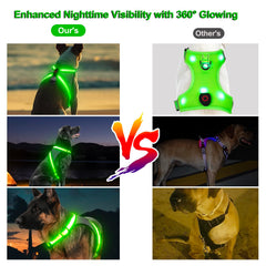 Visinite harness showing adjustable straps and two buckles for secure fit.