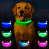 Visinite light-up dog collar shows 360° glow for safer night walks.