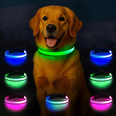 Visinite light-up dog collar front view for safer night visibility during walks.
