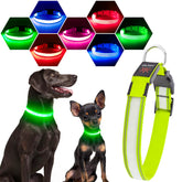 Visinite light up dog collar glow strip provides high visibility during night walks.