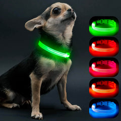 Visinite light-up collar for small dogs glows for safer night walks