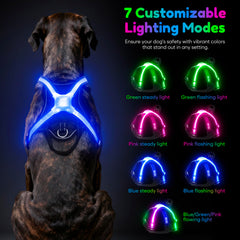 Visinite LED panel close-up showing seven lighting modes.