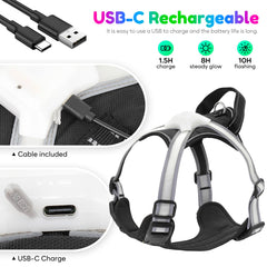 Visinite harness with reflective trim remains visible when LEDs off.