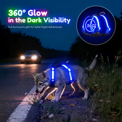 Visinite Light Up Dog Harness with USB-C recharge shows convenient charging capability