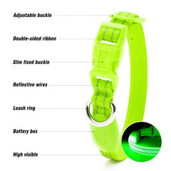 Visinite night-walk visibility collar with reflective stitching and bright glow