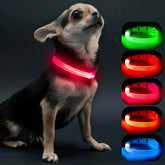 Visinite pink light-up dog collar front view with bright night visibility.