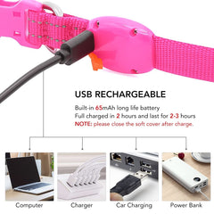 Visinite pink LED collar charging port close-up showing USB recharge convenience.