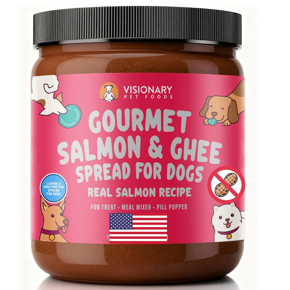 Visionary Pet Foods Salmon and Ghee Meat Spread jar showing a protein-forward dog snack