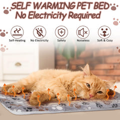 VitalCozy 2-pack shown for convenient indoor warmth.