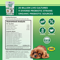 Vital Planet Flora Dog Probiotics 20B cultures bottle highlights potency for digestion and immune support