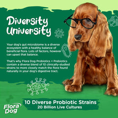 Vital Planet Flora Dog soft chews offer a palatable probiotic option for pets.