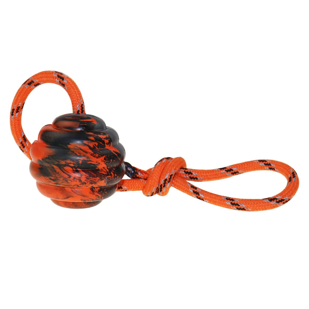 Vitalili dog training ball on rope front view engages dogs during fetch and play.