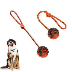 Vitalili training ball on rope ready for a fast throw and fetch session.