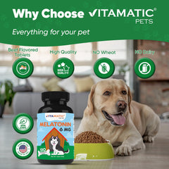 Vitamatic Melatonin for Dogs fireworks image highlights stress relief during celebrations.