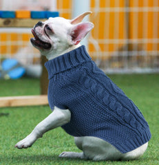 Viunimo small blue Chihuahua sweater, side view emphasizes snug fit for chilly walks