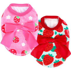 Viunimo strawberry XXS sweater worn on teacup Chihuahua for cozy cold-weather wear