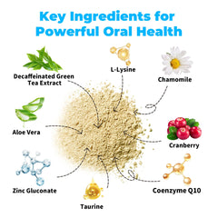 VivaElixir cat dental care powder scoop—easy daily dosing with meals.