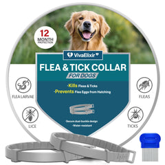 VivaElixir flea collar on a dog swimming, waterproof protection during water outings.