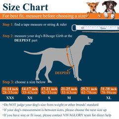 VIVAGLORY dog life vest showing buoyancy padding for confident swimming