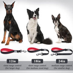 VIVAGLORY double layer nylon webbing reinforces durability for daily use