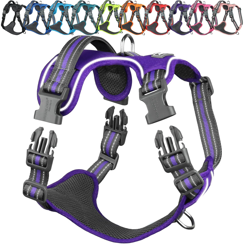 VIVAGLORY EaseWalk harness with front clip for redirected pulling during training.