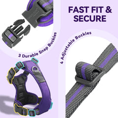 VIVAGLORY EaseWalk harness handle for lifting over obstacles and quick control.
