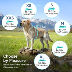 VIVAGLORY Wetoff raincoat with harness access hole enables easy leash use.