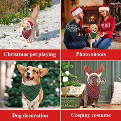 Vivifying dog christmas bandana green plaid on large dog during photo session.