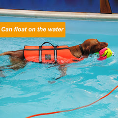 Vivifying long dog leash training-use supports outdoor recall training sessions.