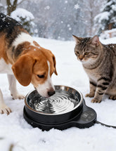 ViwalmPoul heated water bowl outdoor view showing winter hydration benefits