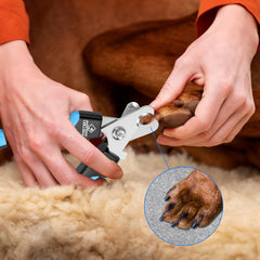 VIWIK quick sensor feature highlighted for precise nail trimming on pets.