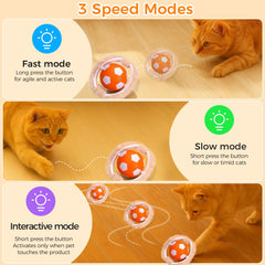 VIWIK hide-seek mouse inside bag prompts pouncing and hunting play