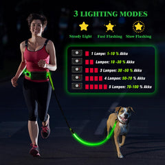 Vizbrite LED waist and leash lights boost night visibility for safer walking.