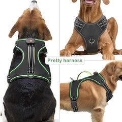 Vizbrite harness with back handle for secure lifting and gentle control during outings.