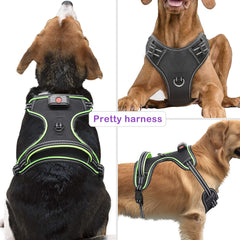 Vizbrite Light Up Dog Harness back handle provides easy grip for controlled social walks.
