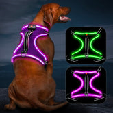 Vizbrite Light Up Dog Harness front clip for no-pull control during walks